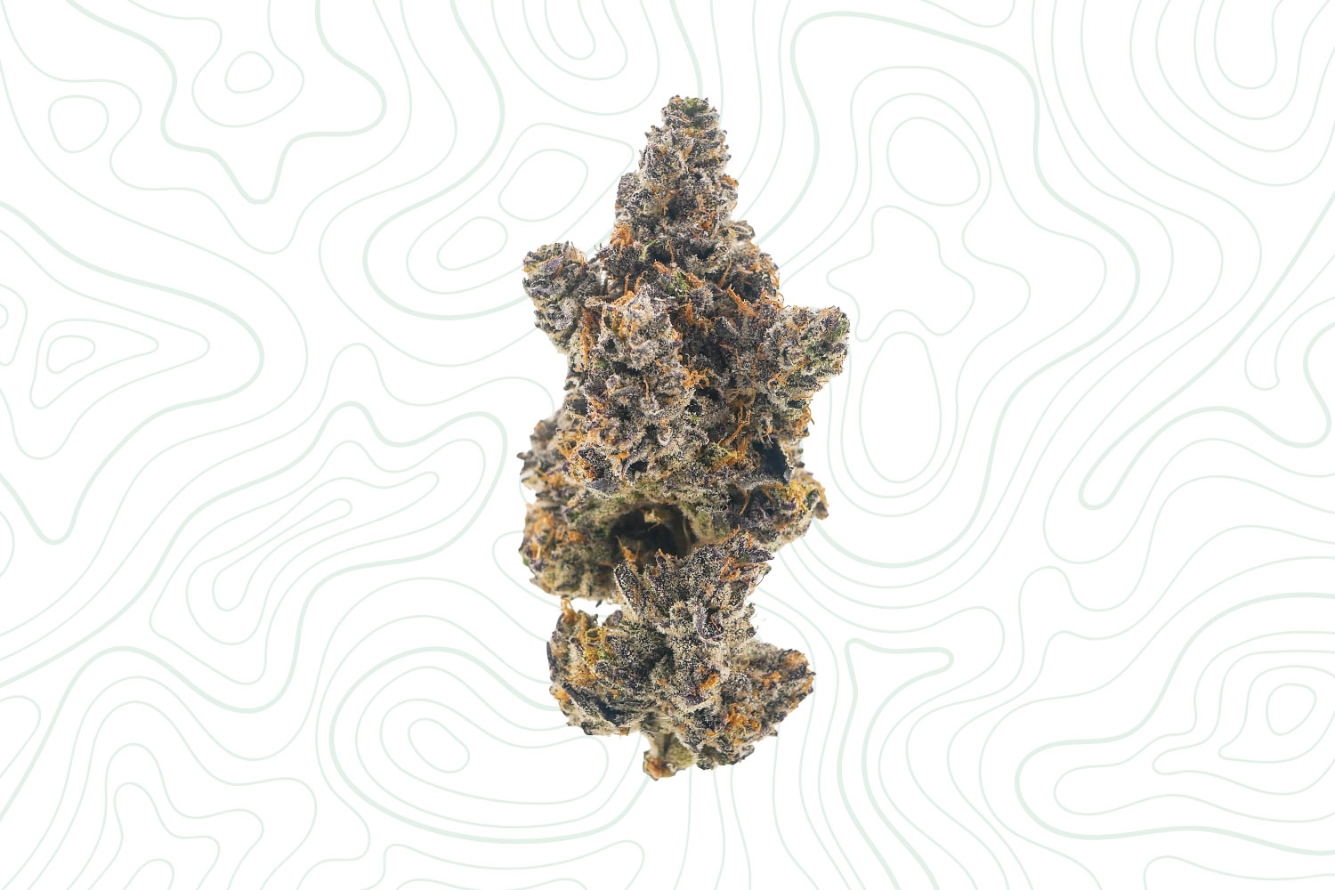Indoor-grown THCa flower